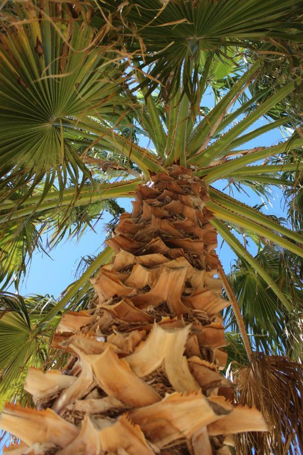 Hébergement de vacances Sud *